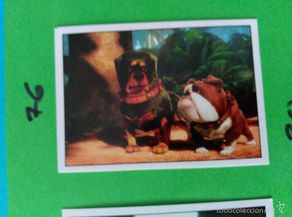 Sammeln alte Sammelbilder: UP DISNEY PANINI 76